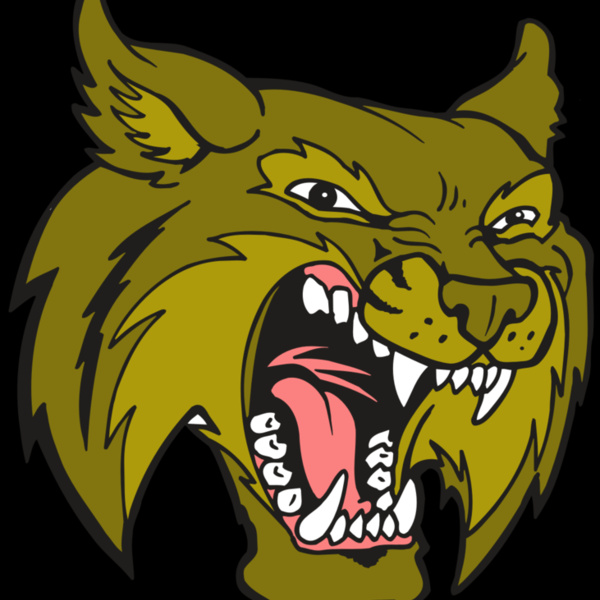 AR5 BOBCAT 20 RQC Thumbnail