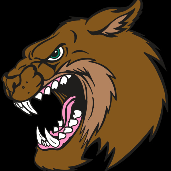 AR5 BOBCAT 18 RQC Thumbnail