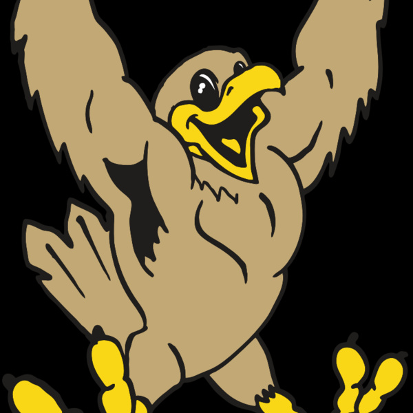 AR EAGLE 21 RC Thumbnail