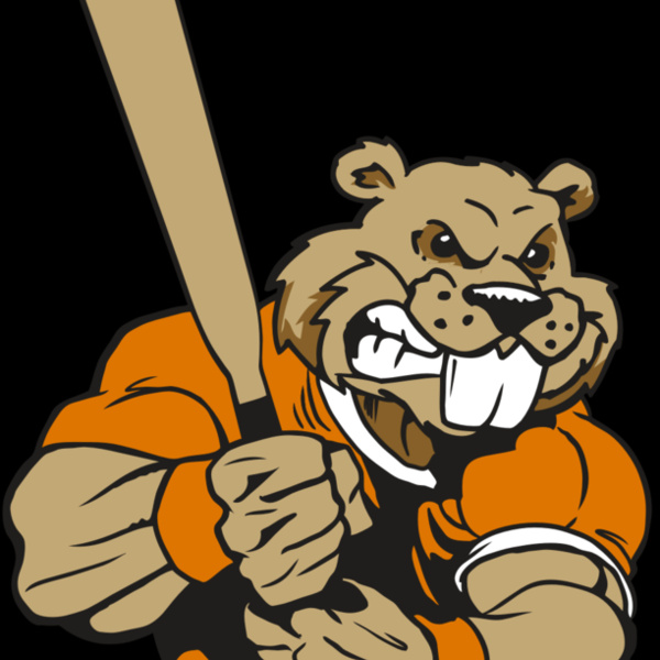 AR4 BEAVER 04 RQC Thumbnail