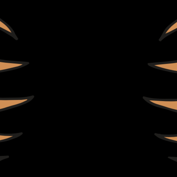 AR BEAR 05 RC Thumbnail