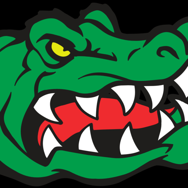 AR GATOR 19 RQC Thumbnail