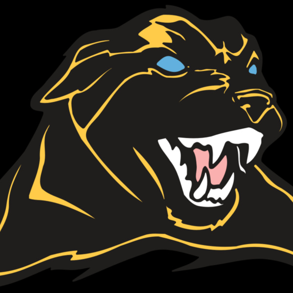 AR COUGAR 42 RC Thumbnail