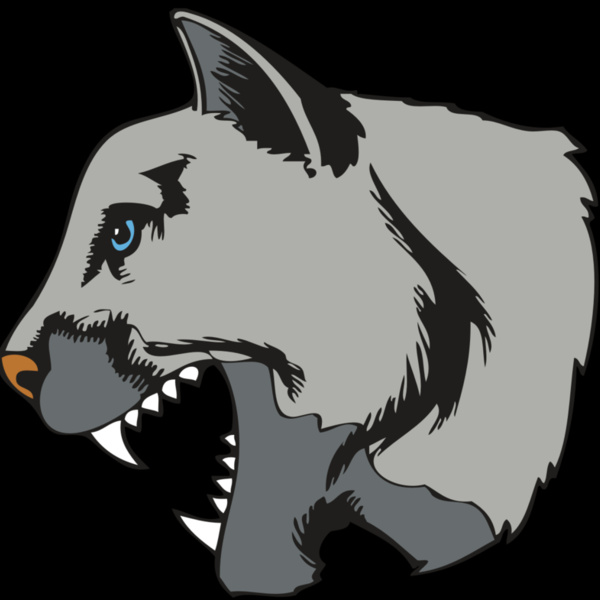 BAW COUG PANTH 15 R Thumbnail