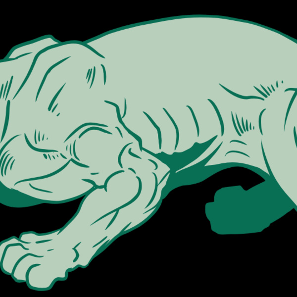 AR10 PANTHER 05 RQC Thumbnail