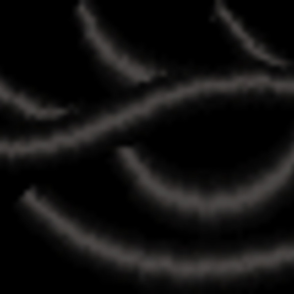 NZ788 Thumbnail