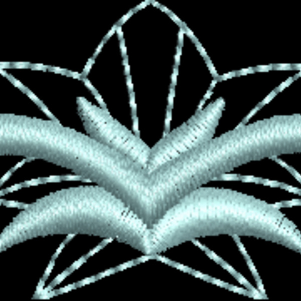NZ806 Thumbnail