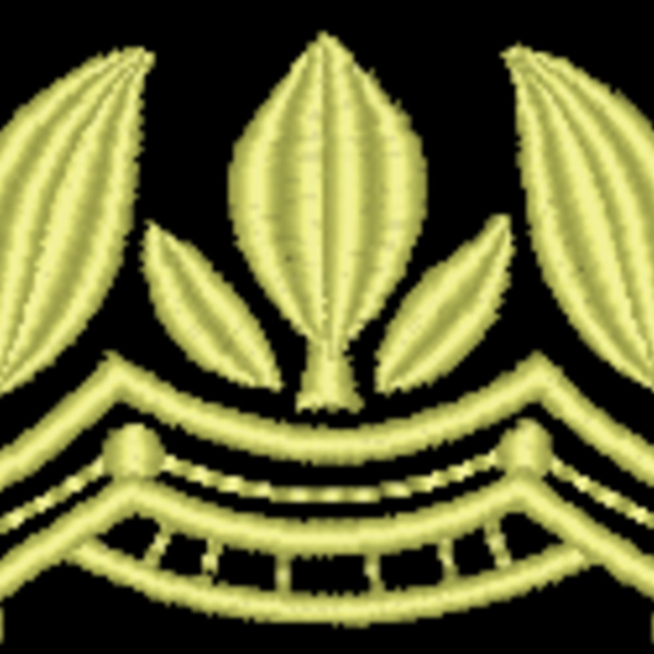 NZ798 Thumbnail